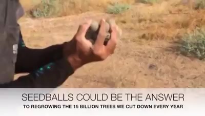 Seedballs could be the answer to billions of trees we cut! |Email: info@kensville.co.in | Website: www.kensville.co.in