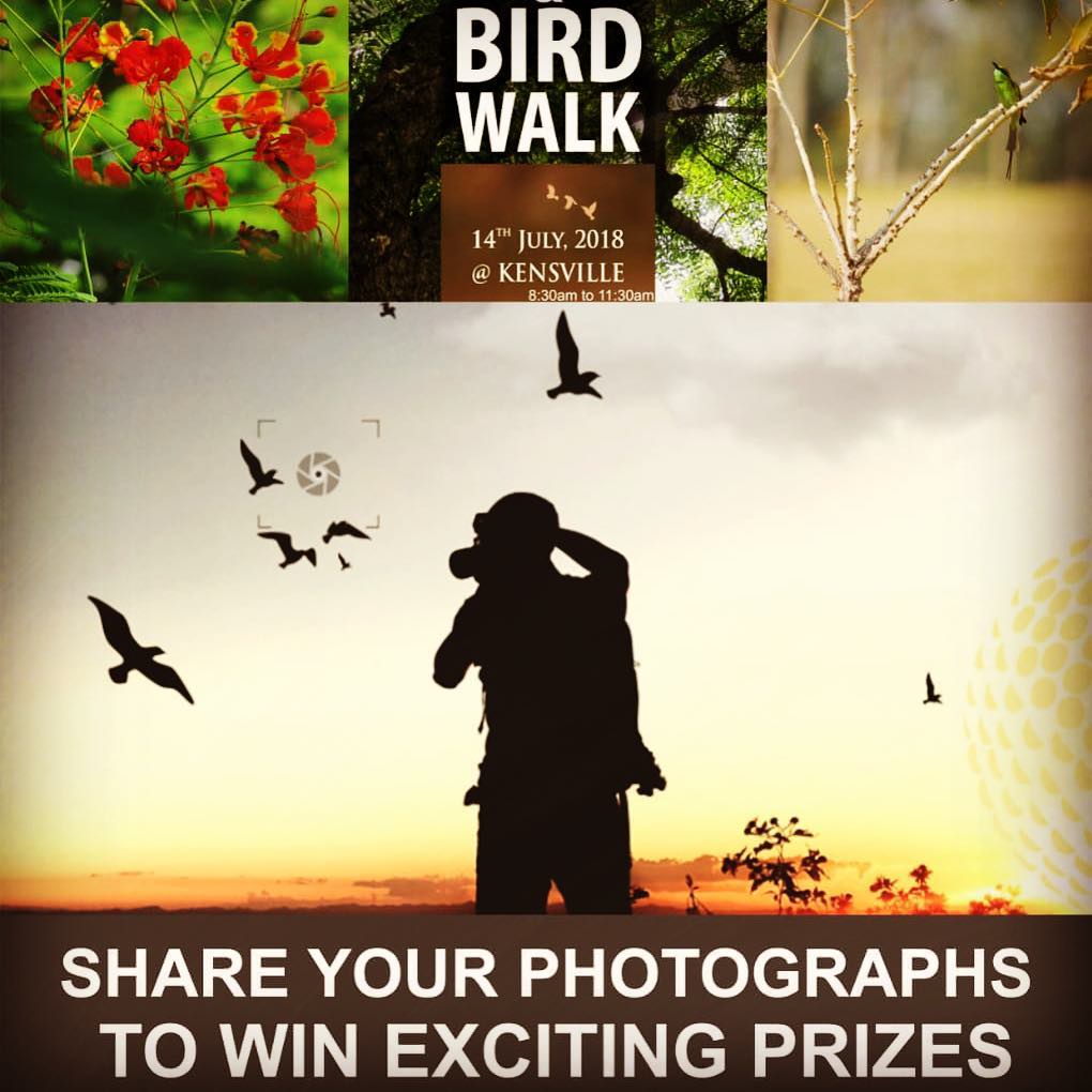 Tree & Bird Walk at Kensville Golf & Country Club this Saturday. 
8:30am to 11:30am. 
To register Contact: +919925027774 | Email: jalpa.cholera@kensville.co.in | www.kensville.co.in