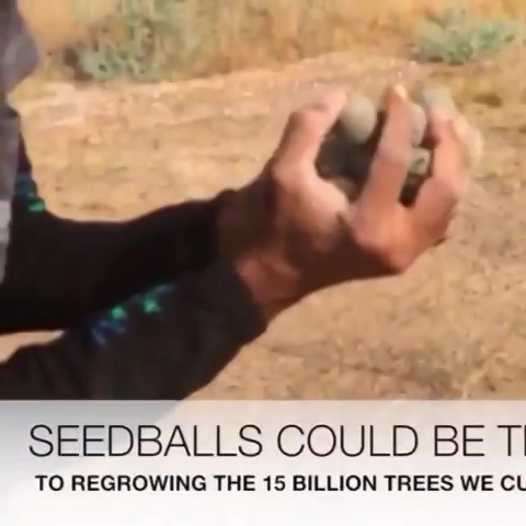 Seedballs could be the answer to billions of trees we cut! |Email: info@kensville.co.in | Website: www.kensville.co.in