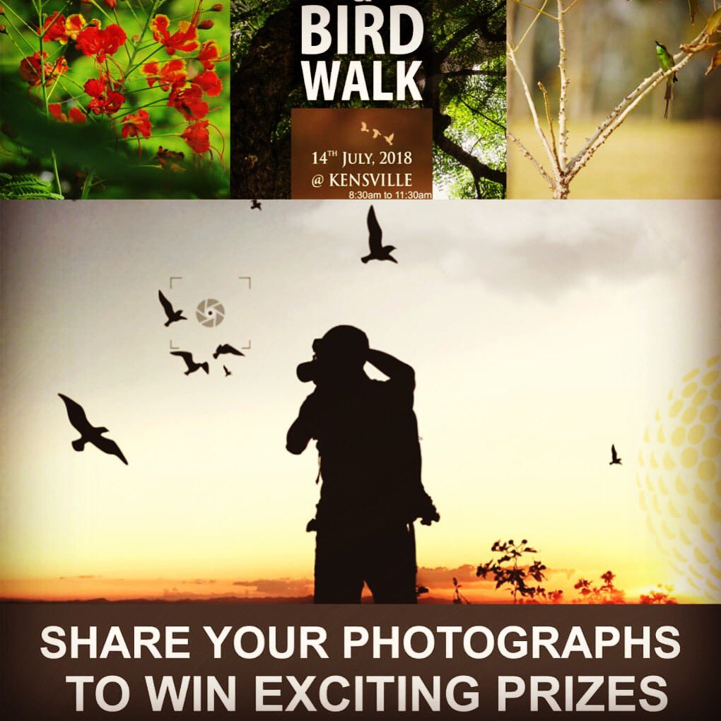 Tree & Bird Walk at Kensville Golf & Country Club this Saturday. 
8:30am to 11:30am. 
To register Contact: +919925027774 | Email: jalpa.cholera@kensville.co.in | https://t.co/fjHtfcU4xo#birdlovers#photography https://t.co/395jB1HjRr
