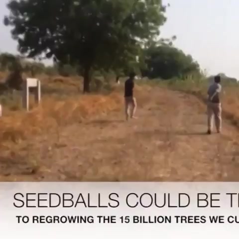 Seedballs could be the answer to billions of trees we cut! |Email: info@kensville.co.in | Website: https://t.co/fjHtfcU4xo https://t.co/SrV4iJyPuI